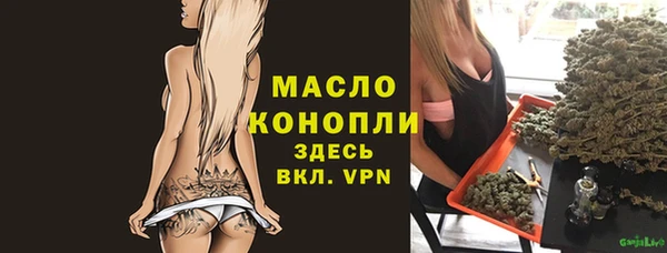 молекула духа Верхний Тагил
